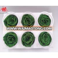 Wholesale Preserved Roses for Wedding Decoration