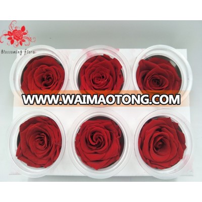 New design Quality Florist Supplies Preserved Roses Flower Preserved Fresh Flower Roses