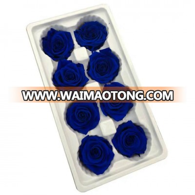 Real Natural  Preserved Fresh Roses Flowers