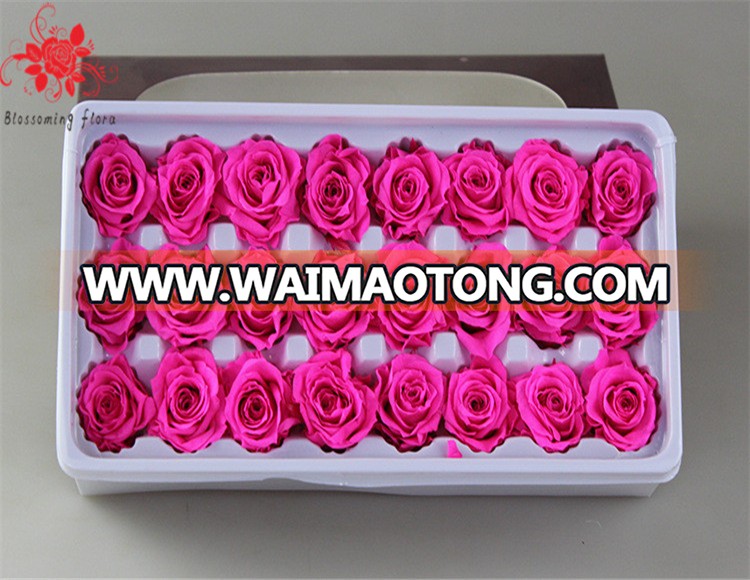 Wholesale Real everlasting rose Preserved Fresh Roses